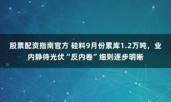 股票配资指南官方 硅料9月份累库1.2万吨，业内静待光伏“反内卷”细则逐步明晰